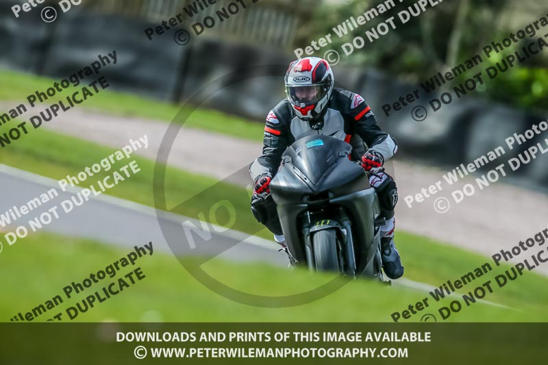 Oulton Park 21st March 2020;PJ Motorsport Photography 2020;anglesey;brands hatch;cadwell park;croft;donington park;enduro digital images;event digital images;eventdigitalimages;mallory;no limits;oulton park;peter wileman photography;racing digital images;silverstone;snetterton;trackday digital images;trackday photos;vmcc banbury run;welsh 2 day enduro